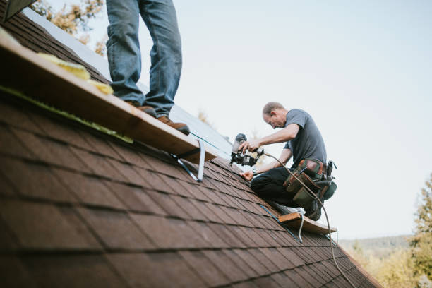 Best Roof Gutter Cleaning  in Denton, NC