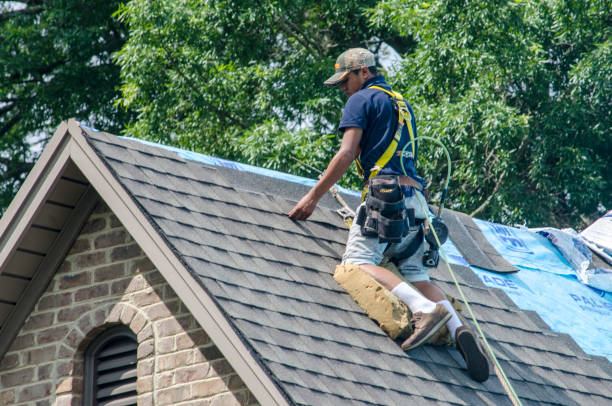 Quick and Trustworthy Emergency Roof Repair Services in Denton, NC